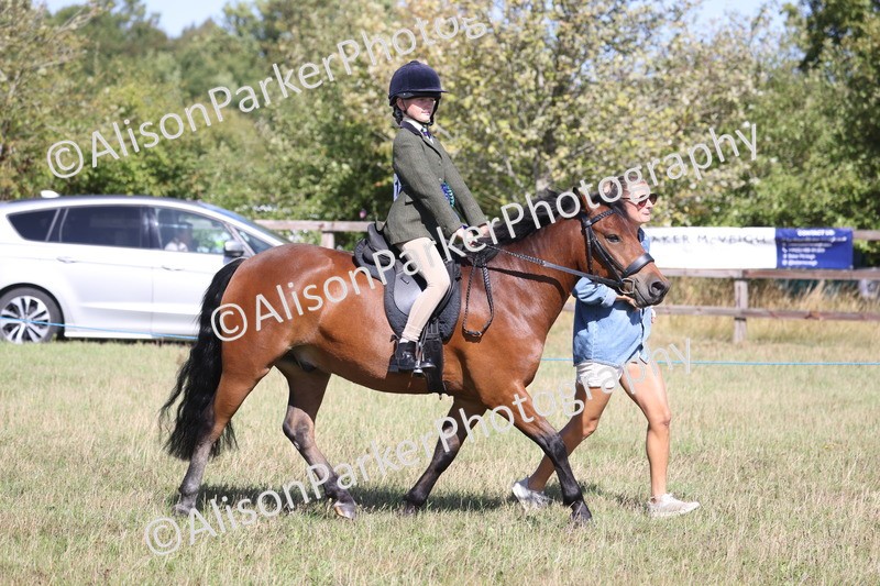 20260906-2352 - Class 16 - Family Pony