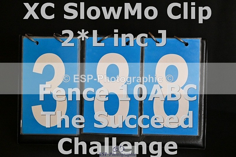 ESP_388 - C-388-Stephen.Heal