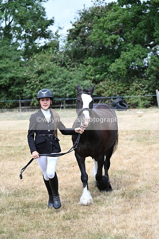 WJ7_1671 - Class 4 Prettiest Mare up to 14.2hh in hand