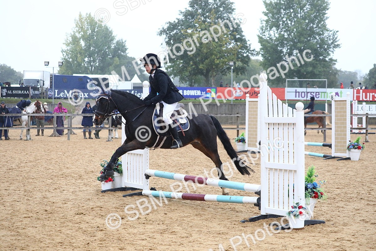 SBM_71786 - J4 - Mini Tour Junior Pony 45cm Championship