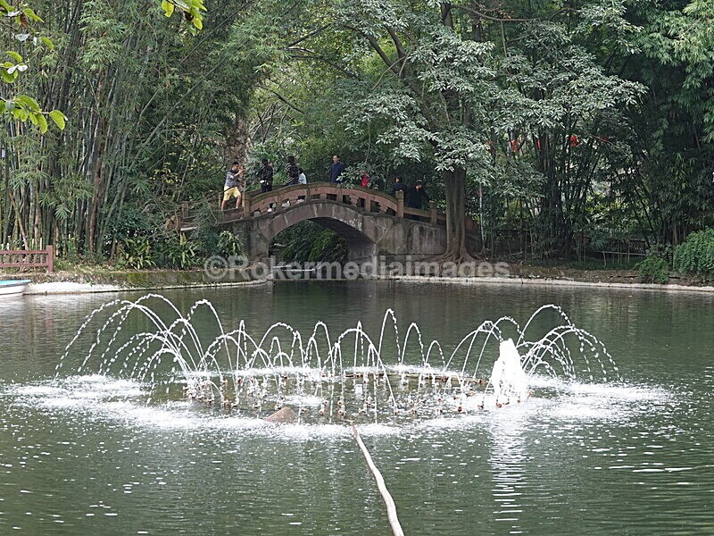 CHINA__0333 - China 2019