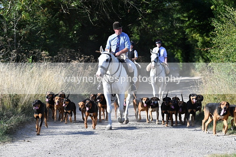 WJ5_4797 - Walk out with the hounds
