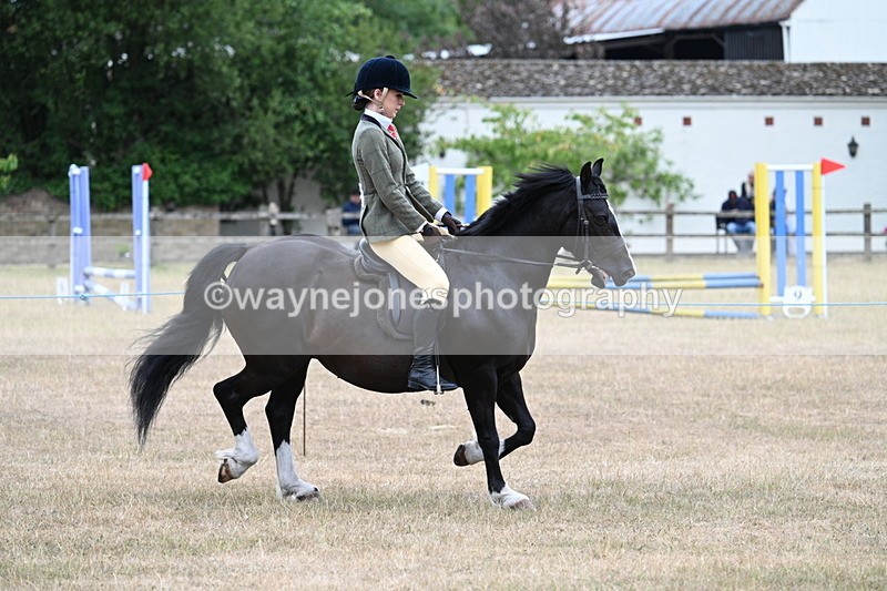 WJ7_0486 - Class 6 Ridden Mountain and Moorland