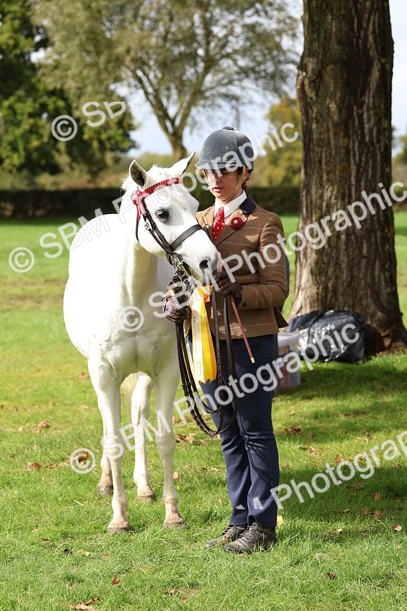 SBM_40796 - S25 -  Veteran In Hand