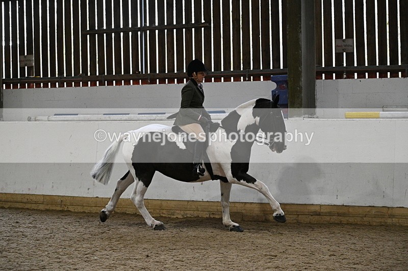 WJ7_3873 - Class 17 Ridden Cob