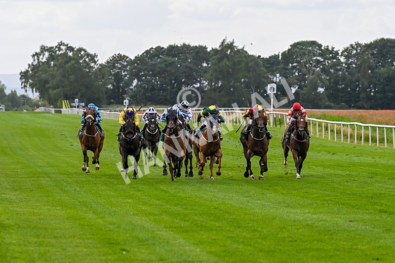 030824-Race 3-Alligator Alley-1646 - Race 3