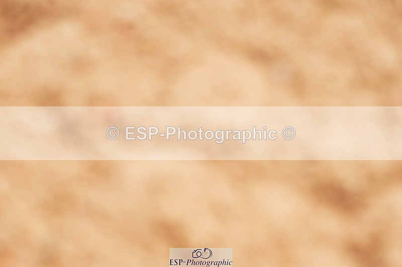 240526A-113528-07838 - Cls 26 Chard Equ 1.05m and 1.10m Grand Prix