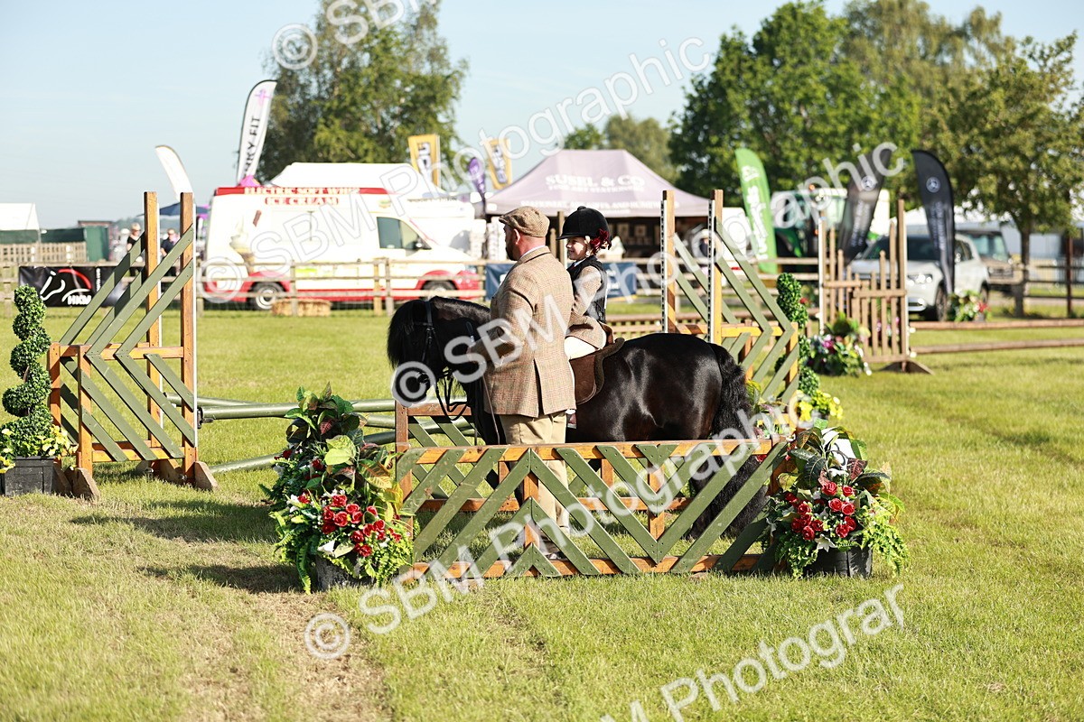 SBM_11171 - Class 106-107 - BSPS LIHS Working Sports Pony