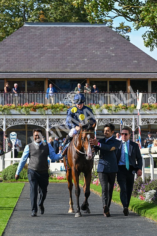 060926-Race 5-Extremely Zain-8523 - Race 5 3.50pm Starman At Tally Ho Stud Garrowby Stakes