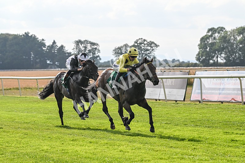 150825-Race 1-Alaminos-2373 - Race 1