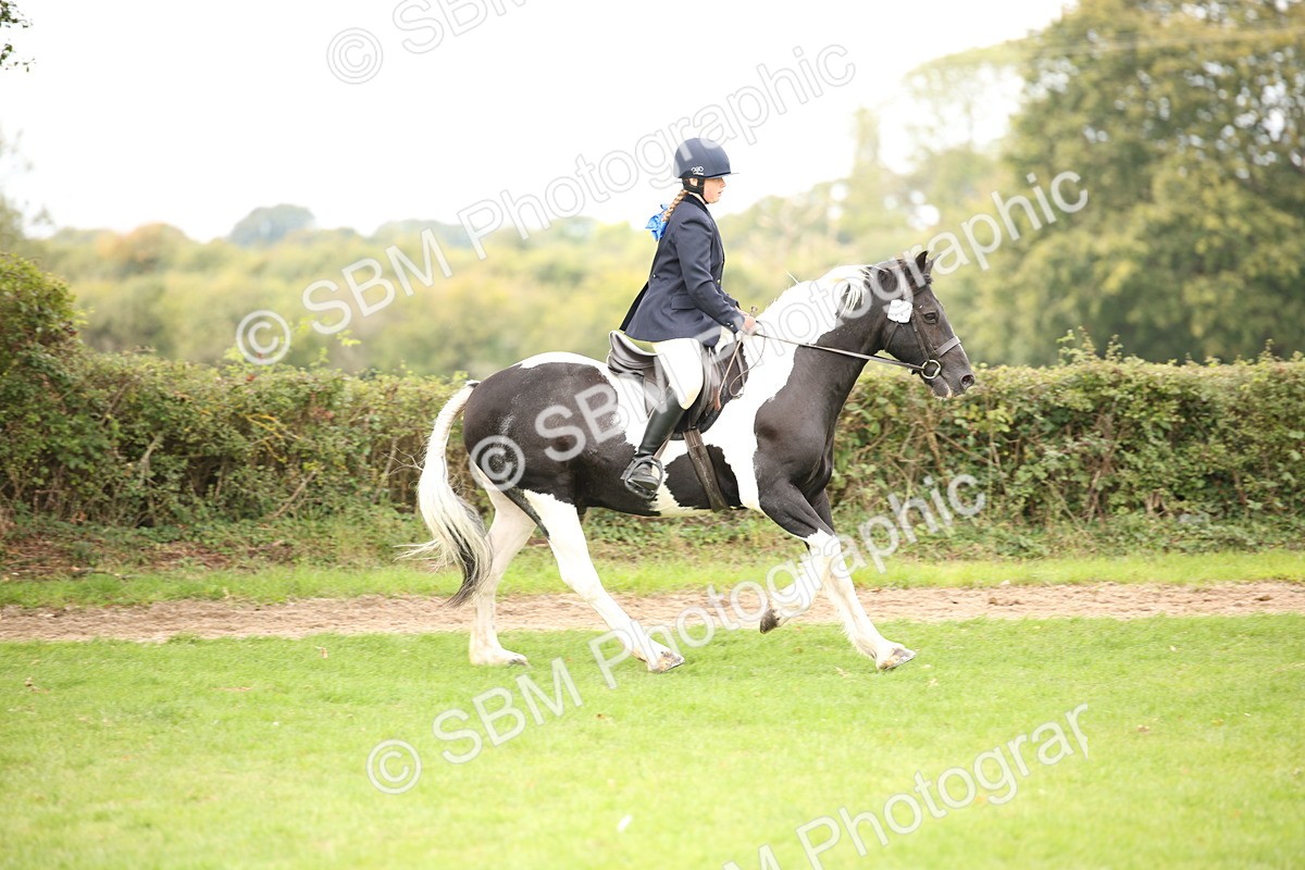 SBM_72365 - S67 - Show Cob Ridden