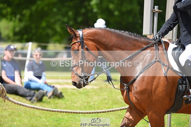 230528-123308-15753 - 365-BWE_NEWTON_DE_JASPER-Adam_Harvey-SUNTrotUp+SJ