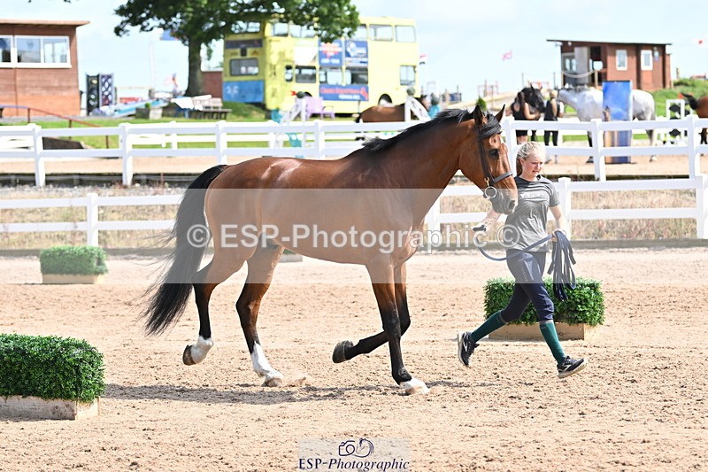 240717A-155232-03126 - Trot Up 3pm to 4pm
