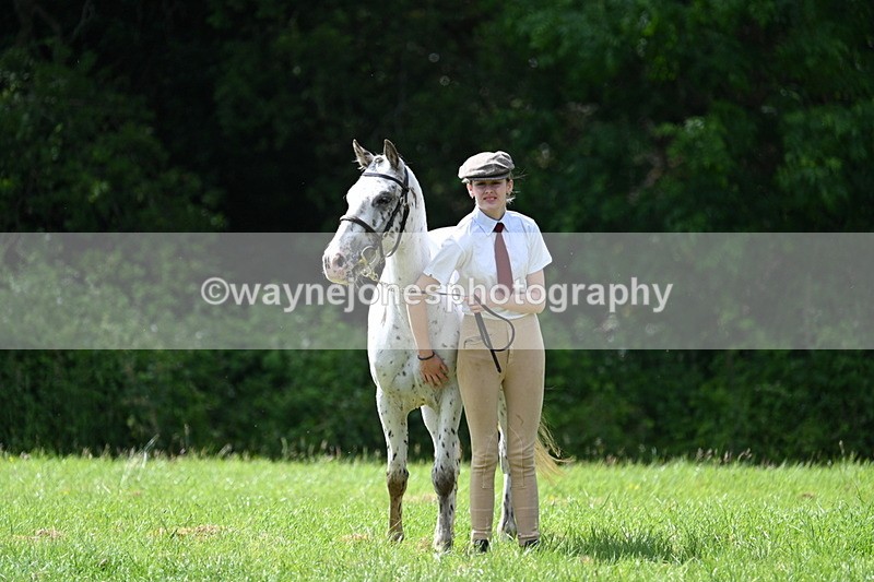 WJ7_1360 - Class 11 Condition & Turnout