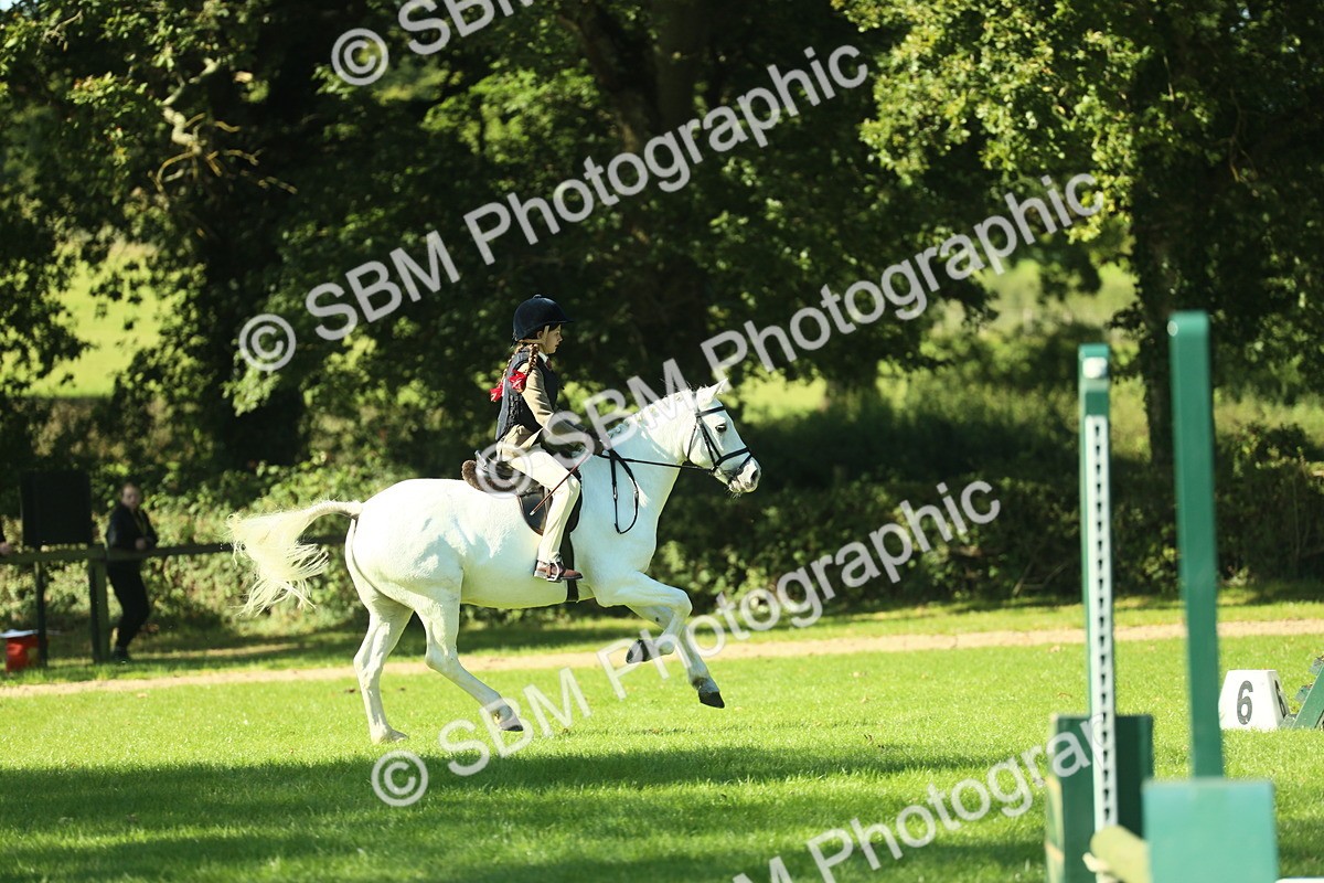 SBM_37508 - S29 - Novice & Newcomers Working Hunter Pony