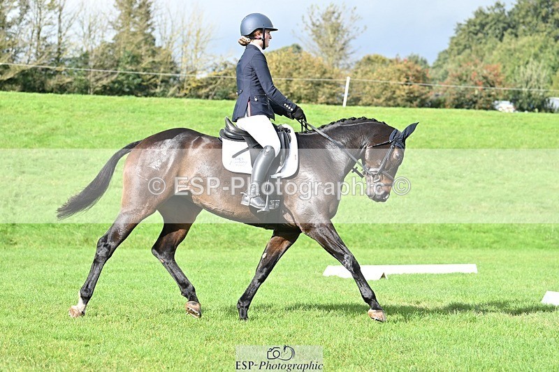 231020-121015-08330 - 652-QUALITY.CONNIE.WELLS-Mia.Ketcher-DR