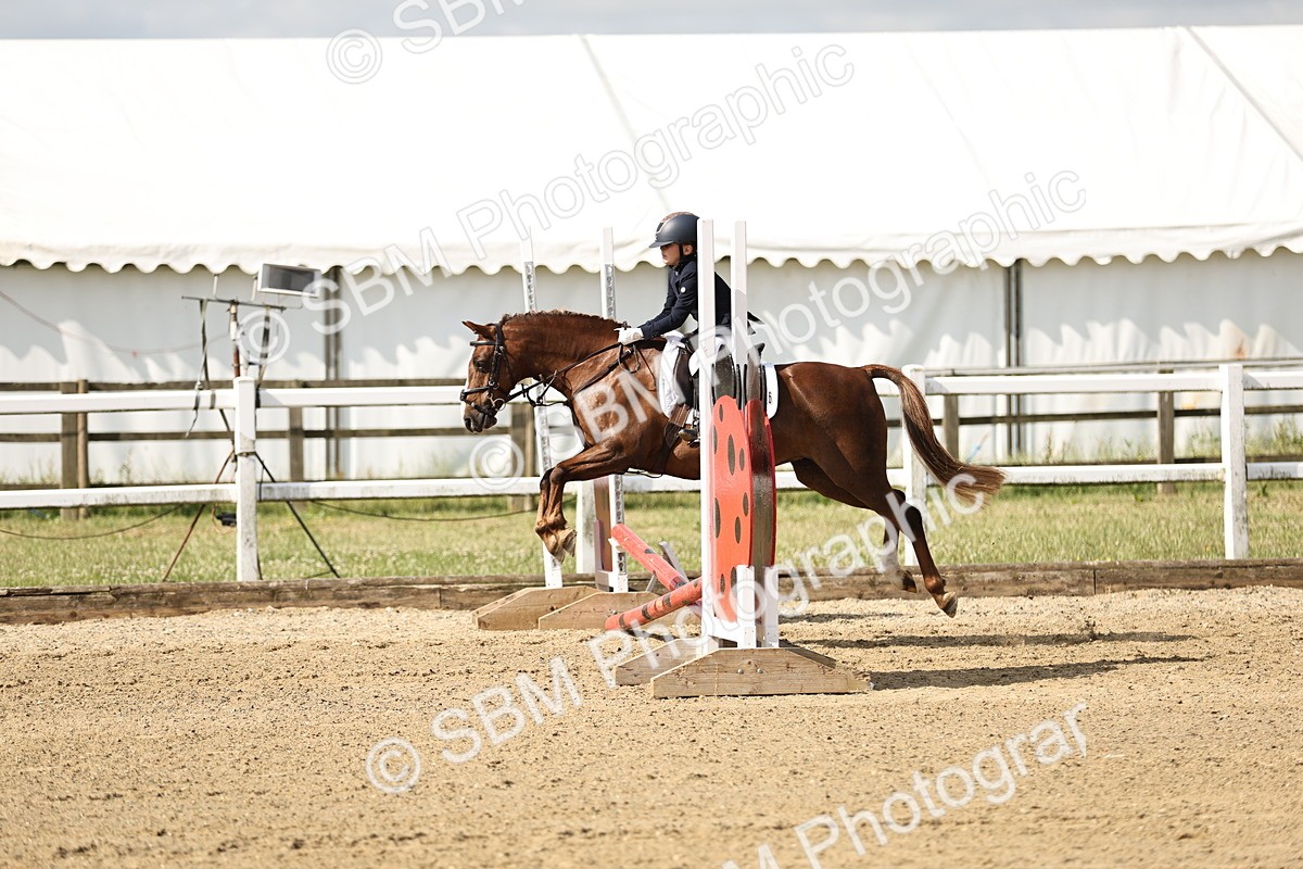 SBM_003271 - 40cm showjumping