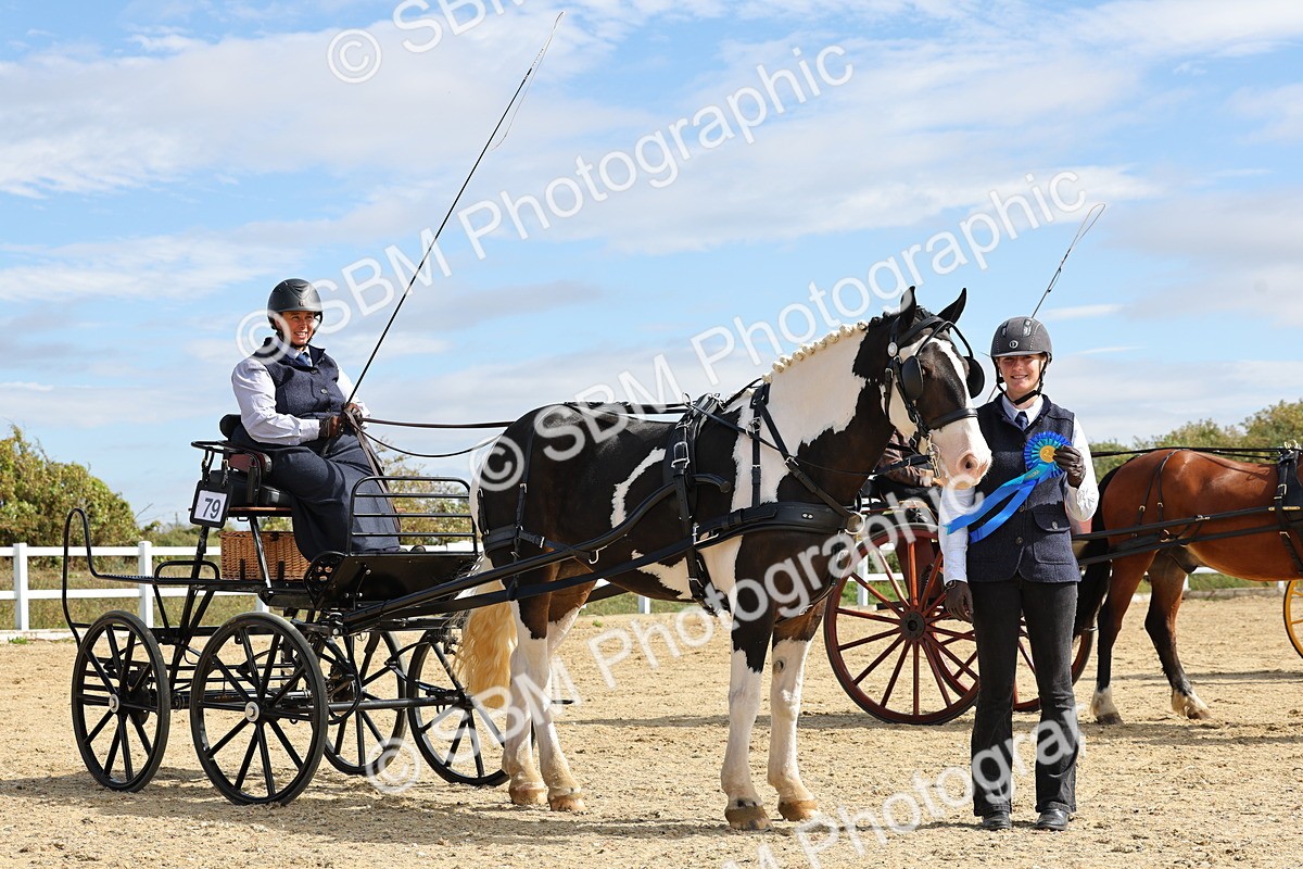 SBM_000949 - Class 8 - Novice Horse or Pony to any vehicle