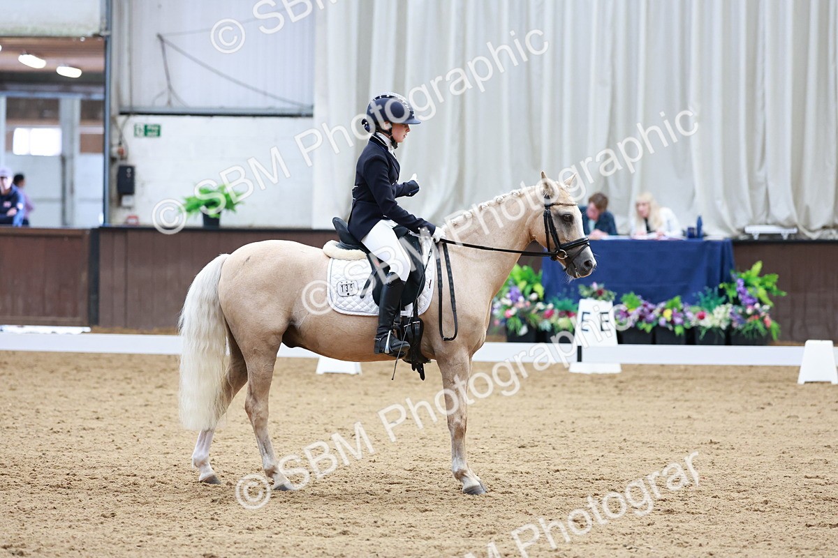 SBM_017404 - Class15 - FEI Pony