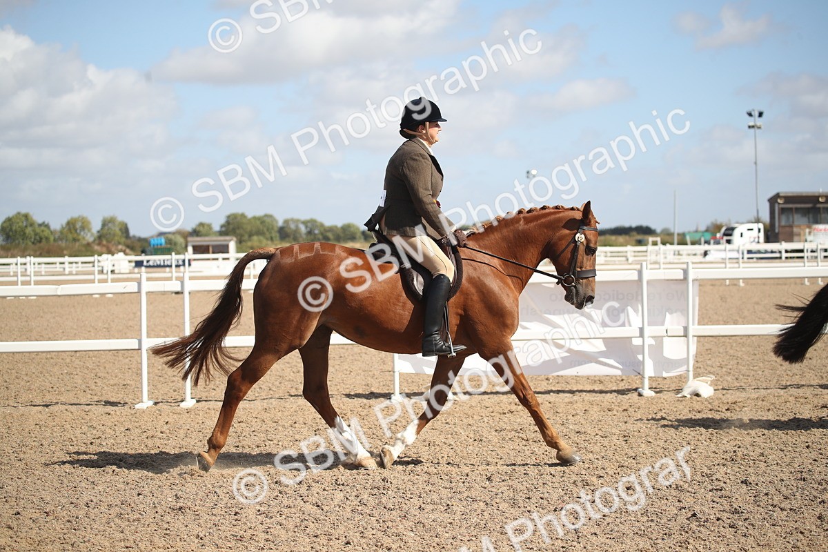 SBM_23013 - Class 603 - 2026 - Ridden Pre Vet