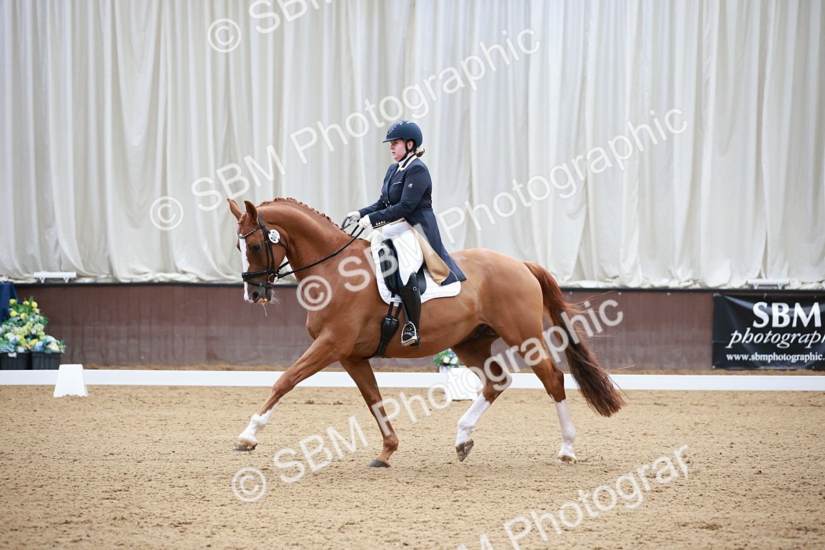 SBM_008696 - Class 14 - FEI PSG - 9.30-10.30