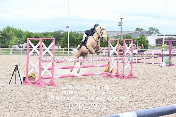 BPP_2972 - CLASS 7 Pony Discovery / 90cm Open
