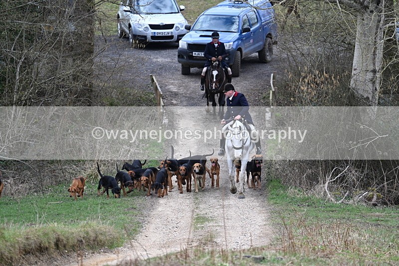 WJ7_7284 - Walk Home