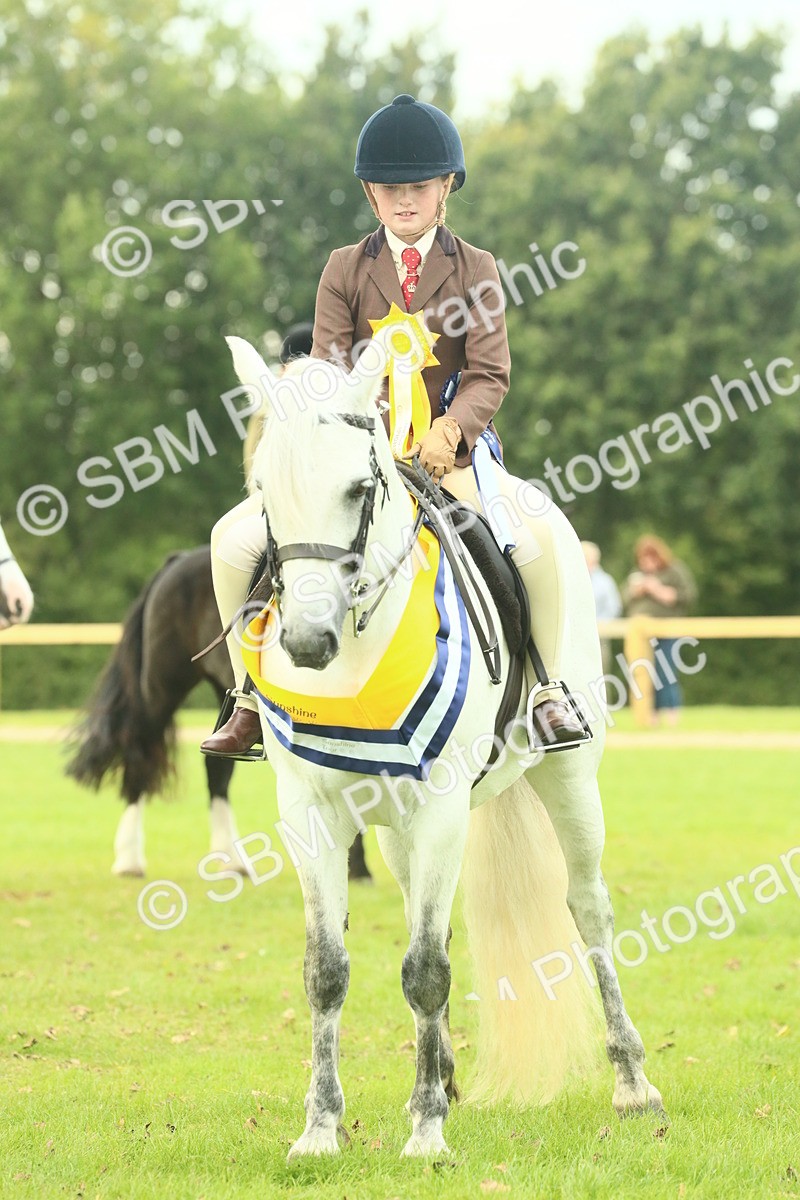SBM_75109 - Ridden Pony Supreme Championship