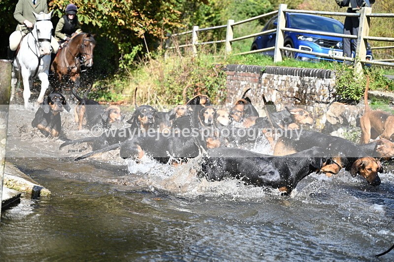 WJ7_5972 - Hounds Water Crossing