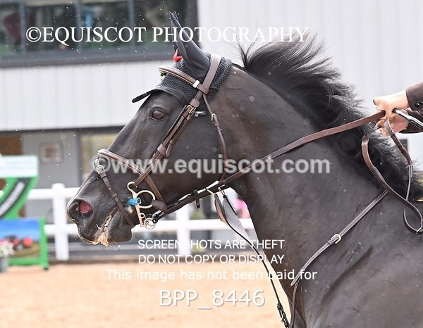 BPP_8446 - CLASS 19 SAT Senior 1.05m Open