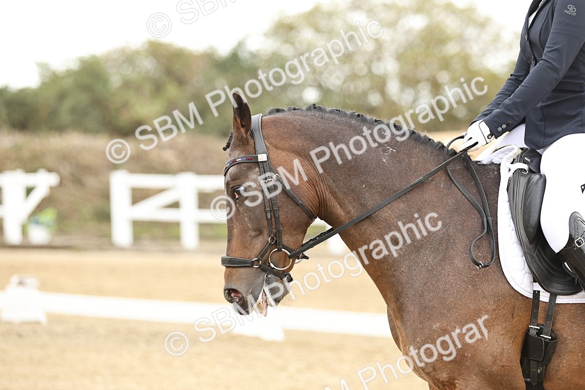 SBM_007002 - Class 21 - Medium 5 Bronze - 10.04-10.52