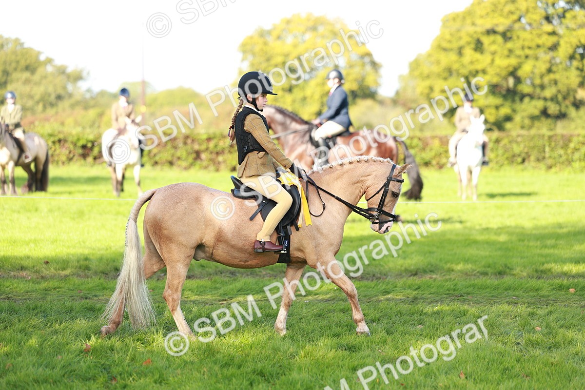 SBM_37105 - S11 - Best Ridden Horse & Pony