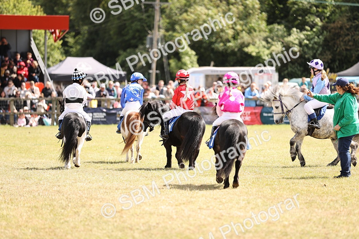 SBM_16558 - Dinky Derby