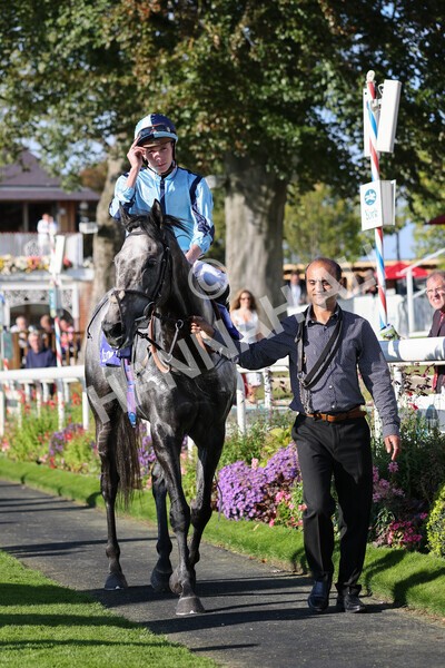 yr08102021r3-41 - Race 3 3.15pm Download The Casumo App Today Handicap