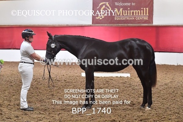 BPP_1740 - MORNING 9AM - 12PM