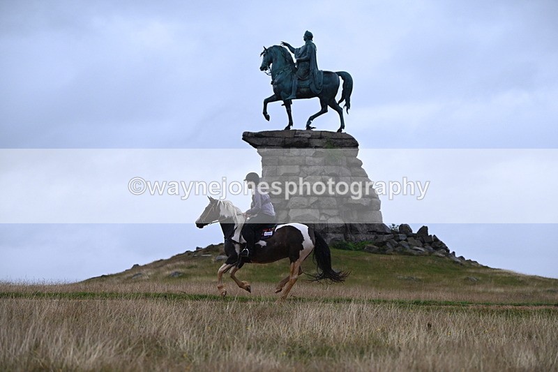 DSC_3283 - Time at Statue 12:59 to 13:49