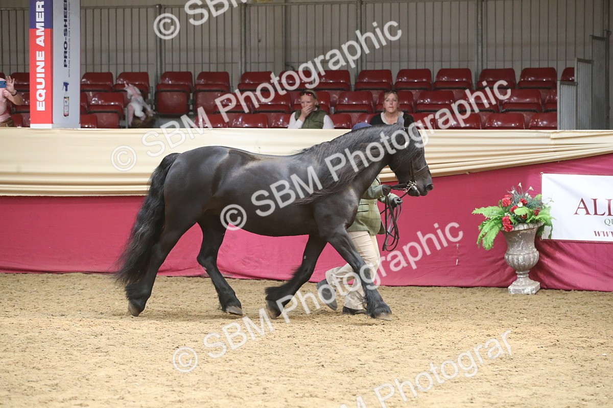 SBM_05545 - Class 9R - Regional IH Pre-Vet