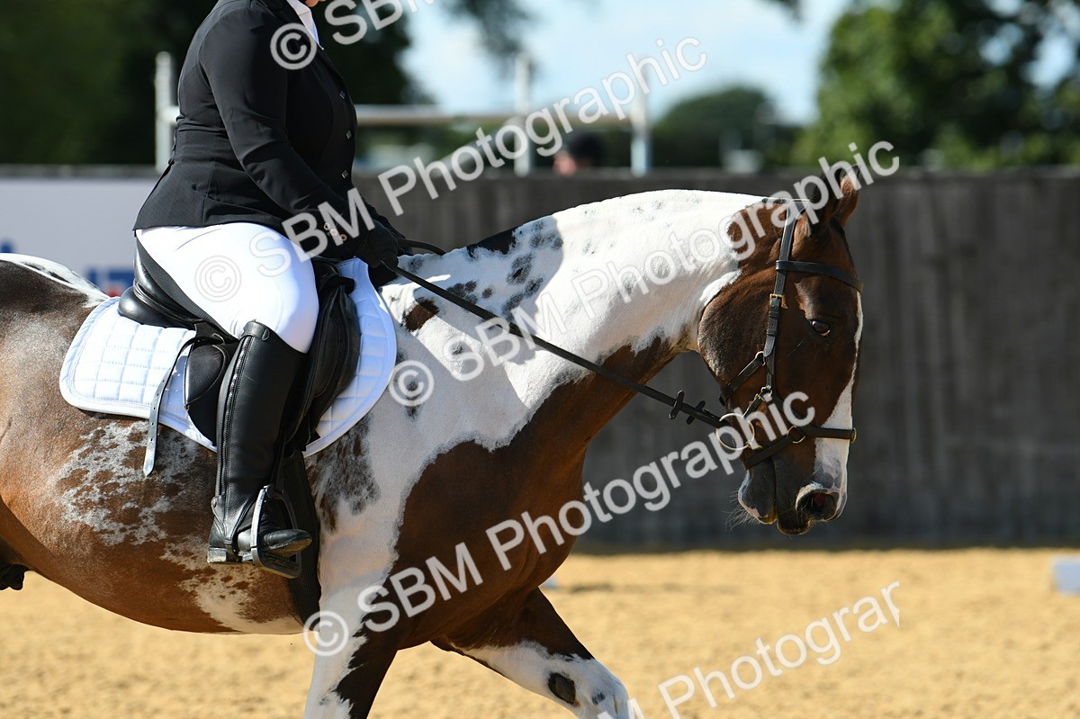 SBM_25066 - D13 - Grand Tour Championship - Prelim 12