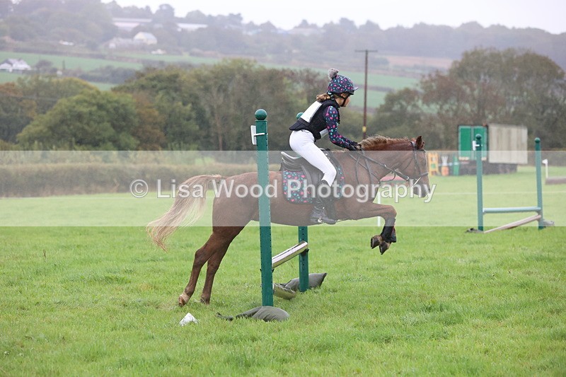 JPP_5153 - Class 1: 65cm : Showjumping