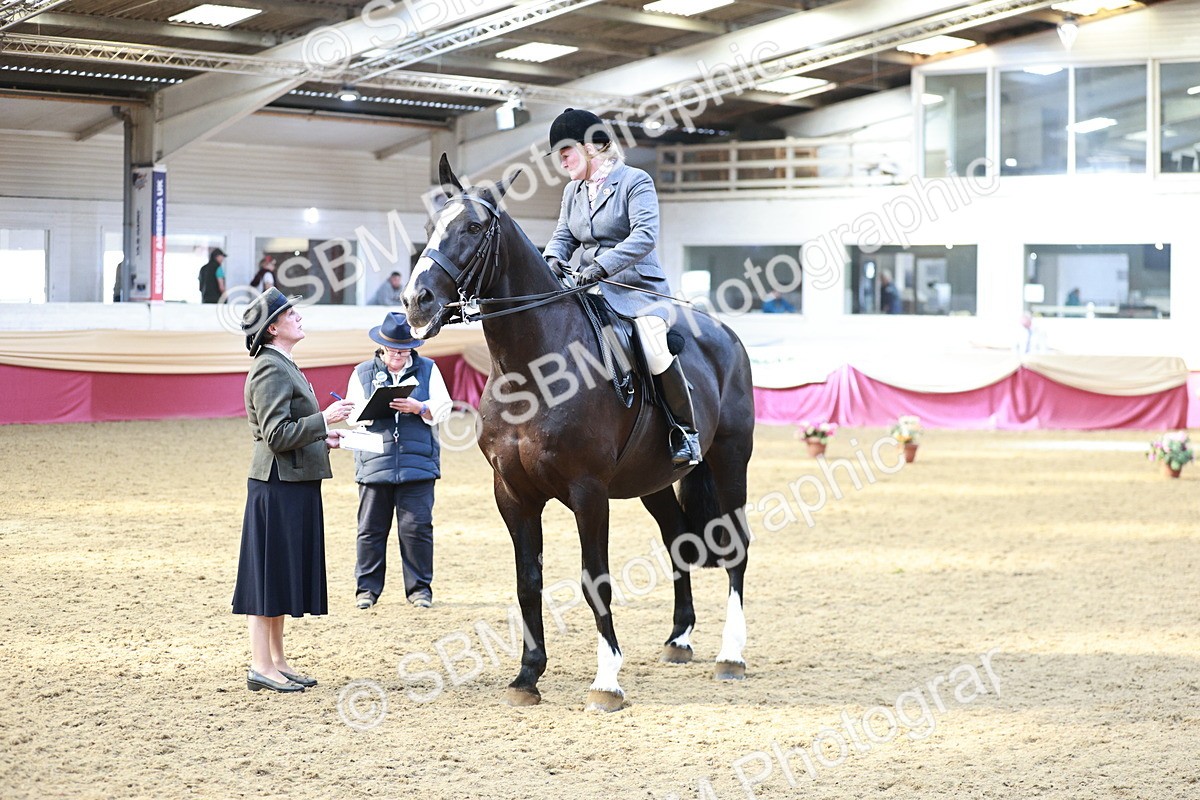 SBM_08301 - Class 11R - Regional Ridden Veteran