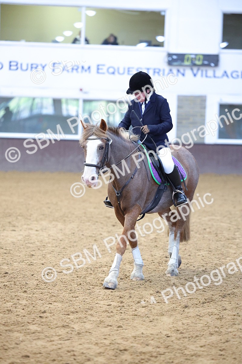 SBM_000082 - Class 1-4 - 40cm Assisted-Non Lead Rein BRC Champs