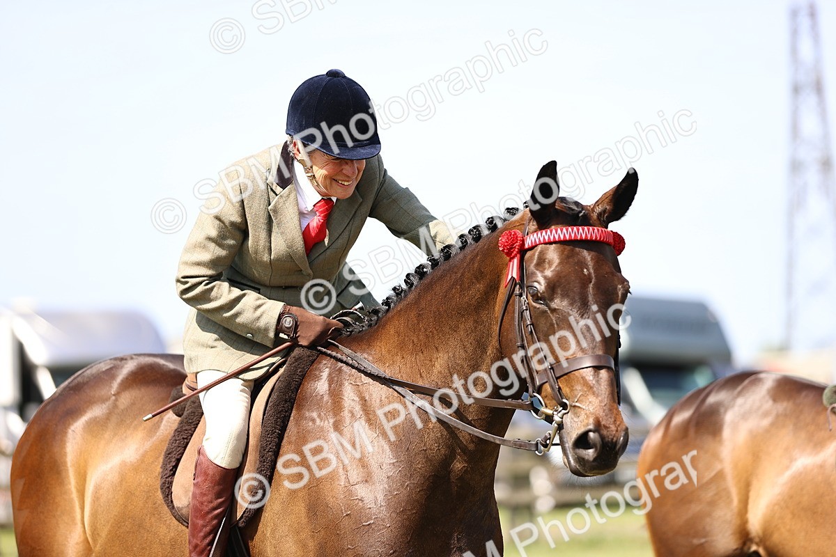 SBM_13080 - Class 75-76 LIHS BSHA Rising Star Hack Riding Horse