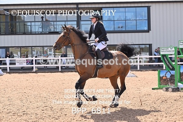 BPP_6811 - CLASS 13 FRI HOYS Talent Seeker Qualifier Inc 7 Year Old Horse Championship Qualifier