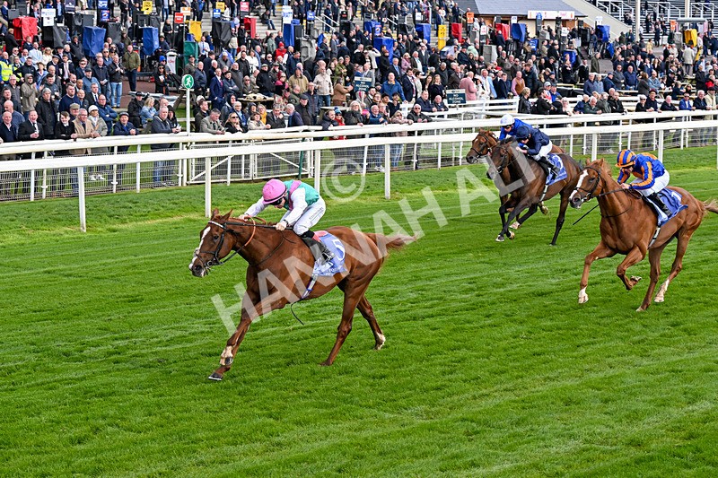 140526-Race 5-Item-0276 - Race 5 4.05pm Al Basti Equiworld Dubai Dante Stakes