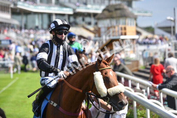 yr09072021r5-32 - Race 5: 4.20pm Garbutt + Elliott Stakes