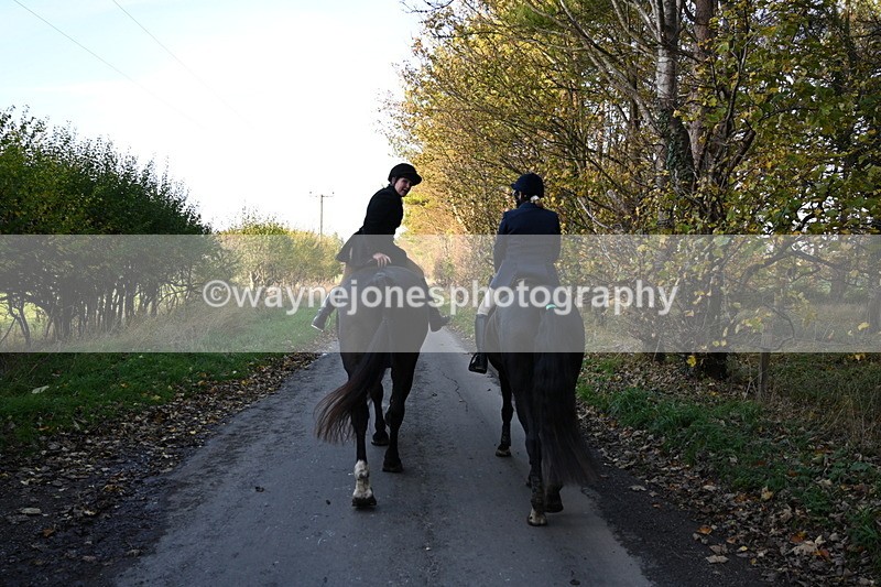 WJ6_9842 - Walk Home