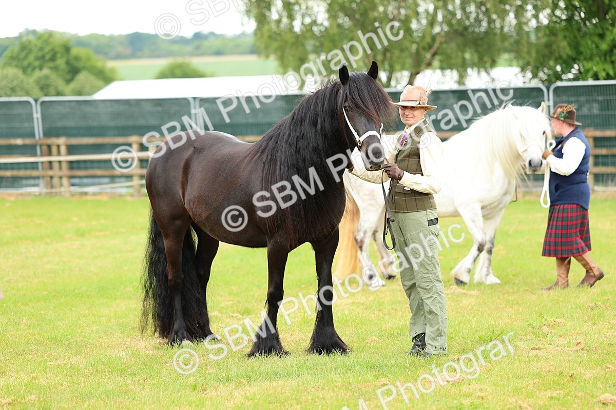 SBM_00555 - Class 58-67 - M&M Non Welsh Pony In hand