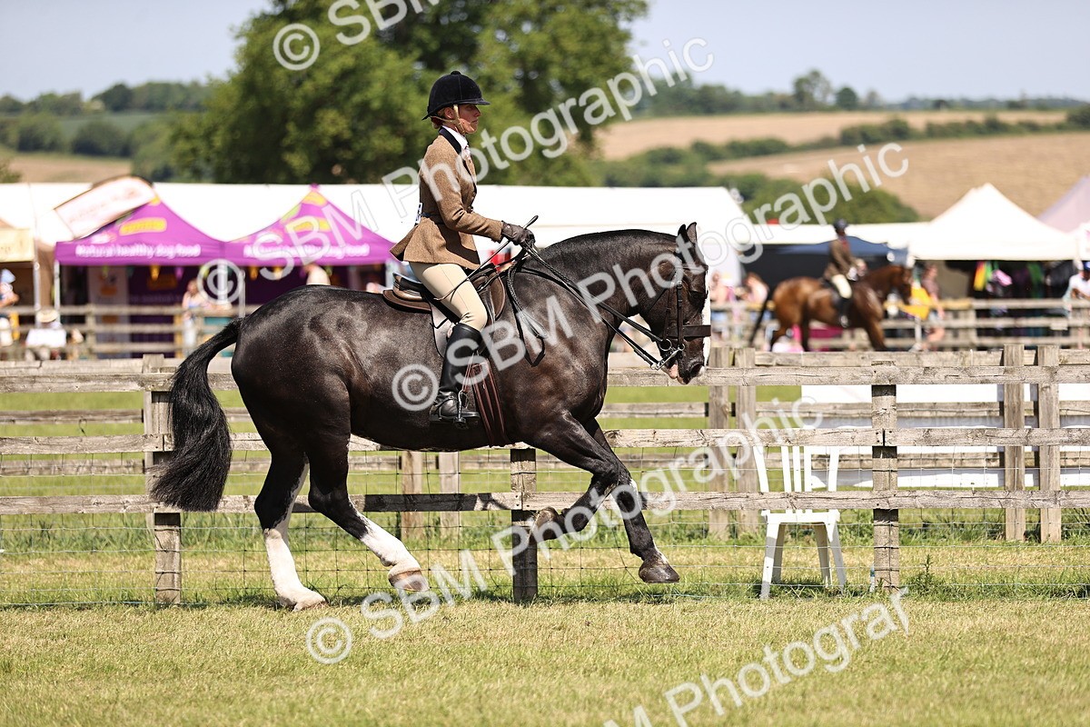 SBM_17847 - Class 81-83 - TSR Ridden Amateur of the Year - Horses