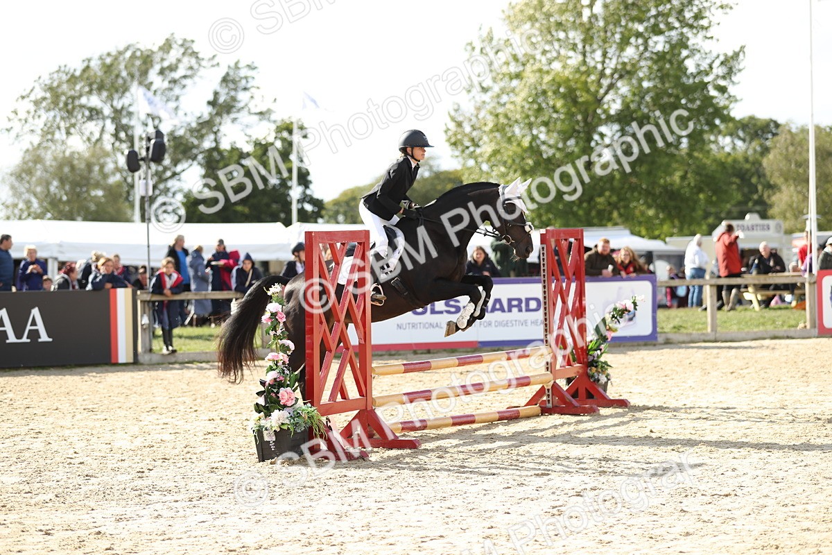 SBM_49551 - J22 - Junior Horse 65cm Championship
