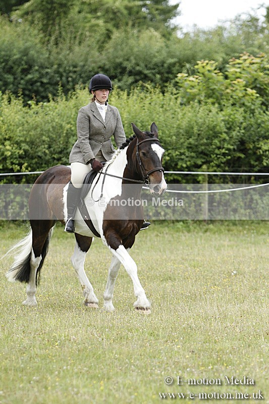 BVR160717-153 - Ring 3 BVRC Show 16/07/17